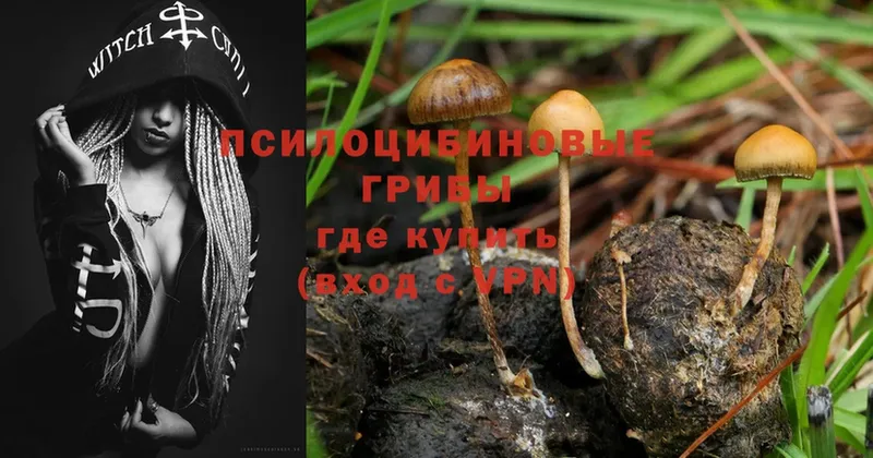 Галлюциногенные грибы MAGIC MUSHROOMS  Духовщина 